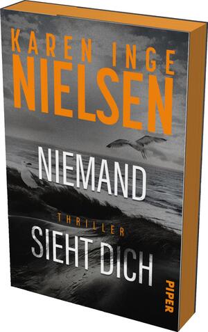 Niemand sieht dich (Grenzland 2)