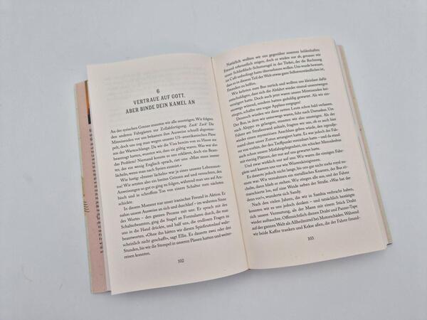 Außenansicht des Buches „The traveling Nanas – Here we go“