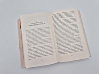 Außenansicht des Buches „The traveling Nanas – Here we go“