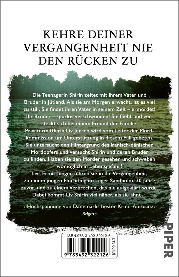 Rückansicht des Buches „Aschezeichen“
