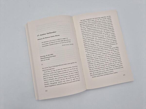 Außenansicht des Buches „Die fremde Frau“