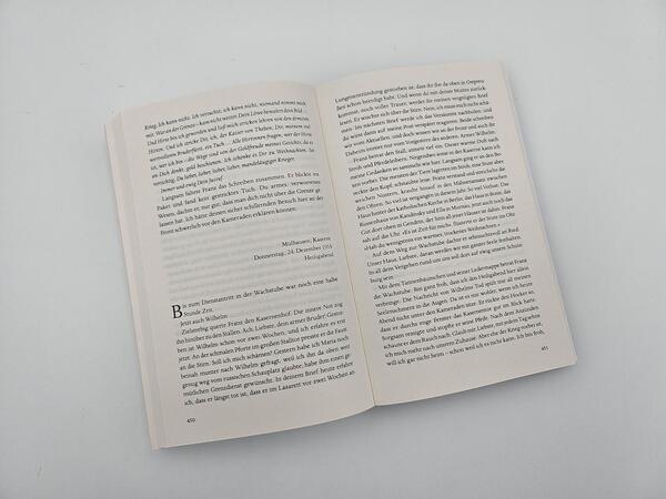 Außenansicht des Buches „Der Maler und das reine Blau des Himmels“