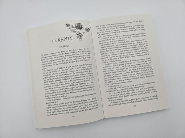 Außenansicht des Buches „Eine Krone aus Herz und Asche “
