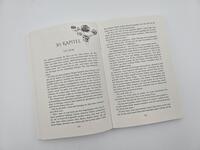 Außenansicht des Buches „Eine Krone aus Herz und Asche “