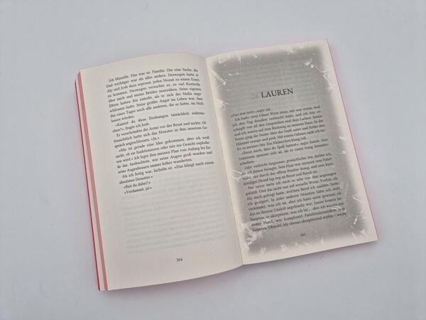 Außenansicht des Buches „Rush In“