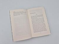 Außenansicht des Buches „The Lies we steal“