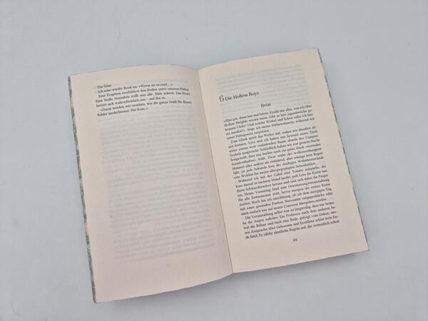 Außenansicht des Buches „The Lies we steal“