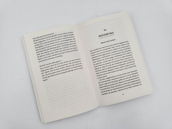 Innenansicht des Buches „Bauer und Bobo“