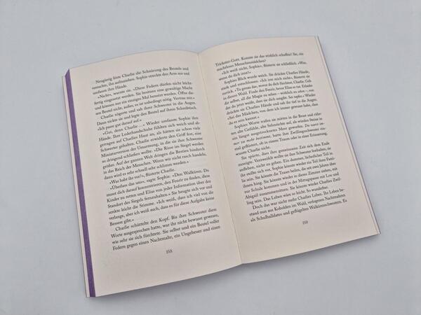 Außenansicht des Buches „Soul of Shadow“