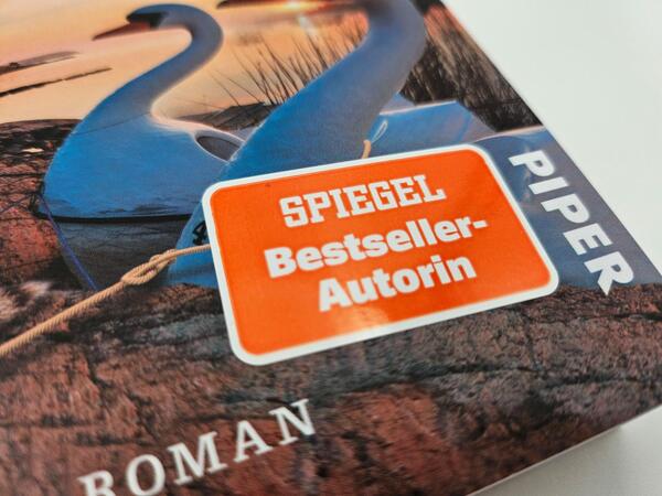 Außenansicht des Buches „Stille Wasser sind fies “