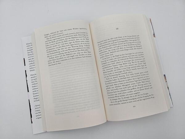 Innenansicht des Buches „Sprung ins Leere“
