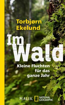 Im Wald