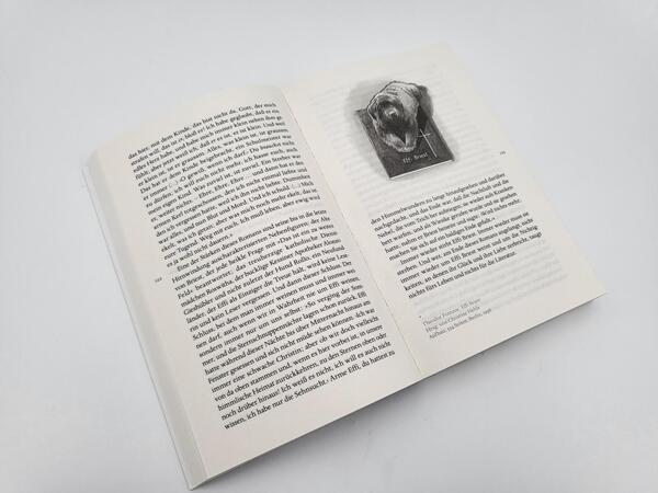 Innenansicht des Buches „Schecks Kanon“