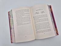 Außenansicht des Buches „Thorn Season“