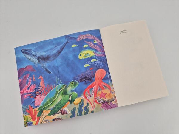 Außenansicht des Buches „Too deep to dive“