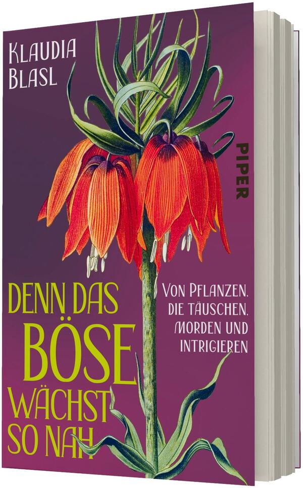 Das Buchcover zeigt einen zentralen, aufrechten Pflanzenstängel mit mehreren hängenden, leuchtend roten Blüten und grünen Blättern vor einem dunklen violett-braunen Hintergrund. Oben links erscheint der Autorenname Klaudia Blasl in kleinem weißem, schlankem Schriftzug; groß und prominent unten links der Titel „Denn das Böse wächst so nah“ in kräftigem Limonengrün, rechts davon der weiße Untertitel über tödliche Pflanzen. Düstere, botanische Atmosphäre.