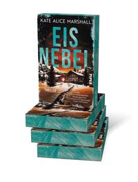 Außenansicht des Buches „Eisnebel“