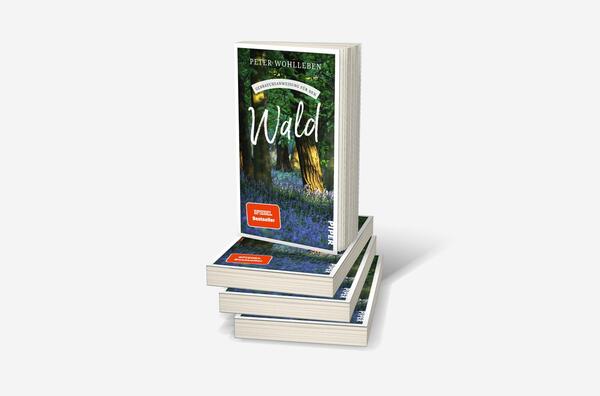Bücherstapel des Buches „Gebrauchsanweisung für den Wald“