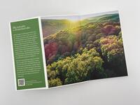 Innenansicht des Buches „Gebrauchsanweisung für den Wald“