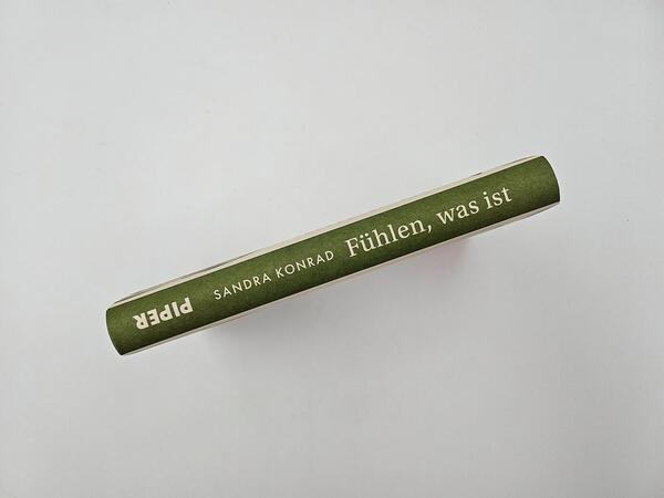 Außenansicht des Buches „Fühlen, was ist“