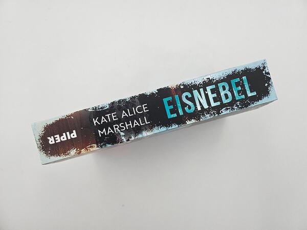 Außenansicht des Buches „Eisnebel“