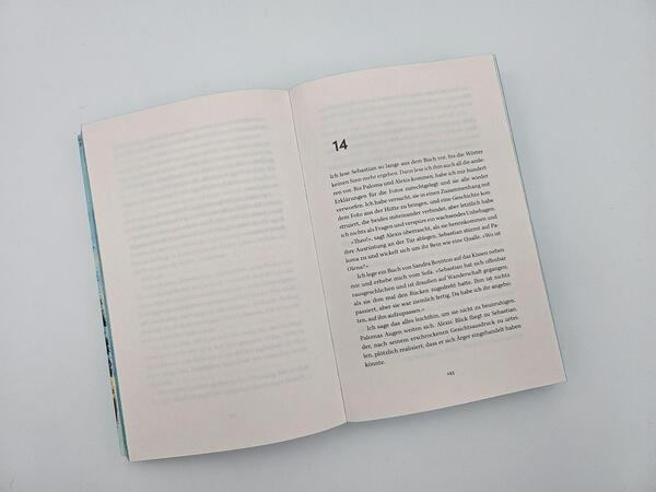 Außenansicht des Buches „Eisnebel“