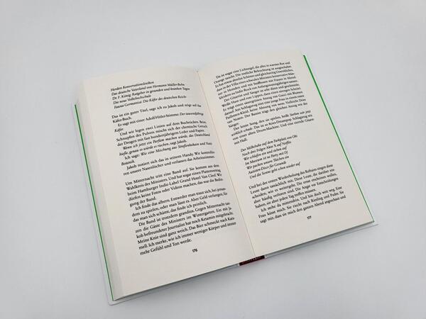 Innenansicht des Buches „Toxic Man“