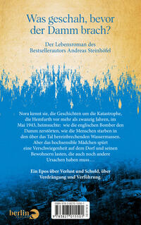 Rückansicht des Buches „Der Damm“