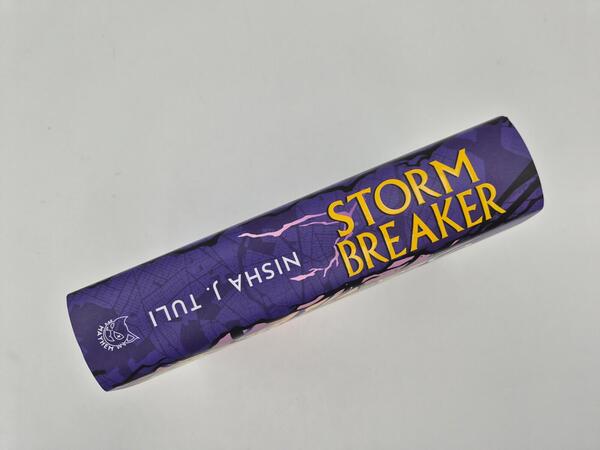 Außenansicht des Buches „Storm Breaker (Deluxe-Ausgabe)“