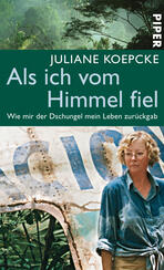 Als ich vom Himmel fiel