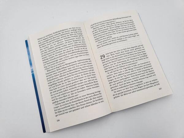 Innenansicht des Buches „Treibholz“