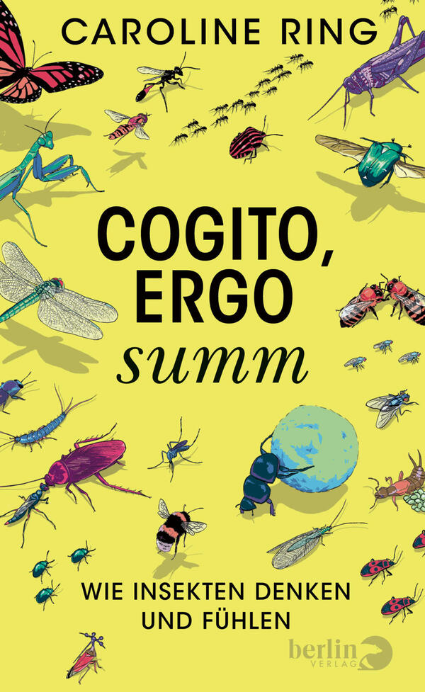 Das Buchcover zeigt auf gelbem Hintergrund zahlreiche farbige Insektenillustrationen (Schmetterling, Heuschrecke, Käfer, Biene, Libelle u. a.) in lebendigen Blau-, Grün-, Rot- und Violetttönen. Oben steht der Autorenname „CAROLINE RING“ in schwarzer Großbuchstabenschrift, mittig groß der Titel „COGITO, ERGO“ in fetter schwarzer Schrift, darunter kursiv „summ“. Unten der Untertitel „WIE INSEKTEN DENKEN UND FÜHLEN“ in schwarzer Versalenschrift. Urhebername Caroline Ring genannt.