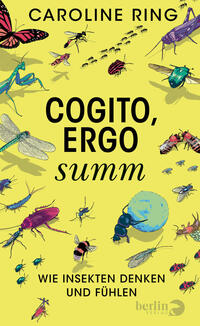 Das Buchcover zeigt auf gelbem Hintergrund zahlreiche farbige Insektenillustrationen (Schmetterling, Heuschrecke, Käfer, Biene, Libelle u. a.) in lebendigen Blau-, Grün-, Rot- und Violetttönen. Oben steht der Autorenname „CAROLINE RING“ in schwarzer Großbuchstabenschrift, mittig groß der Titel „COGITO, ERGO“ in fetter schwarzer Schrift, darunter kursiv „summ“. Unten der Untertitel „WIE INSEKTEN DENKEN UND FÜHLEN“ in schwarzer Versalenschrift. Urhebername Caroline Ring genannt.