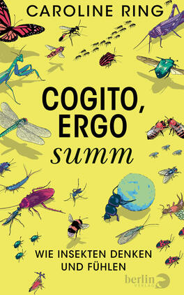 Das Buchcover zeigt auf gelbem Hintergrund zahlreiche farbige Insektenillustrationen (Schmetterling, Heuschrecke, Käfer, Biene, Libelle u. a.) in lebendigen Blau-, Grün-, Rot- und Violetttönen. Oben steht der Autorenname „CAROLINE RING“ in schwarzer Großbuchstabenschrift, mittig groß der Titel „COGITO, ERGO“ in fetter schwarzer Schrift, darunter kursiv „summ“. Unten der Untertitel „WIE INSEKTEN DENKEN UND FÜHLEN“ in schwarzer Versalenschrift. Urhebername Caroline Ring genannt.