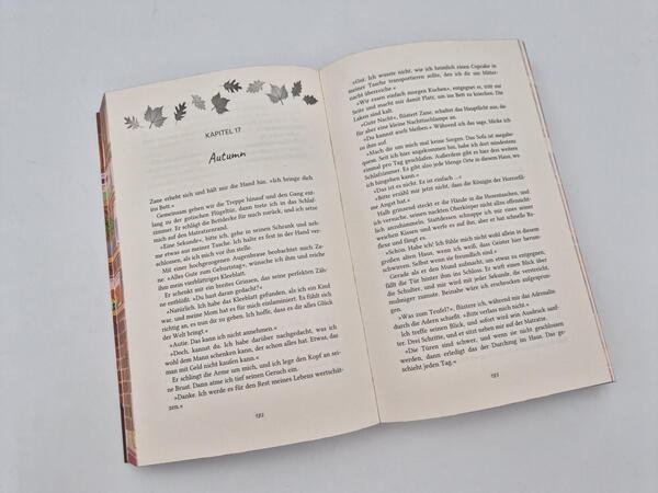 Außenansicht des Buches „Fall I Want“