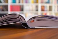 Innenansicht des Buches „Schecks Kanon“
