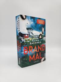 Innenansicht des Buches „Brandmal“