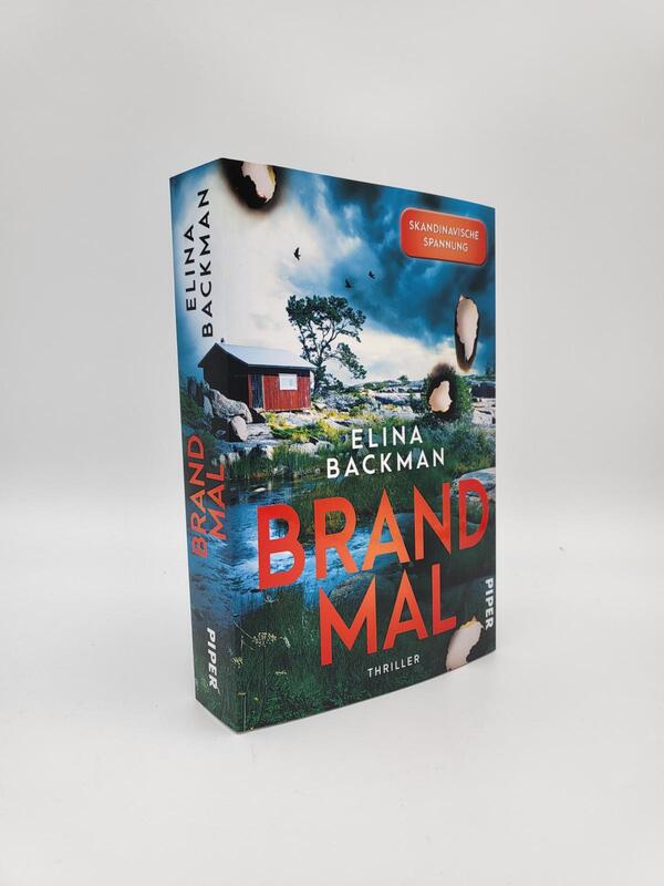 Innenansicht des Buches „Brandmal“