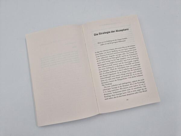 Außenansicht des Buches „FLIP Thinking“