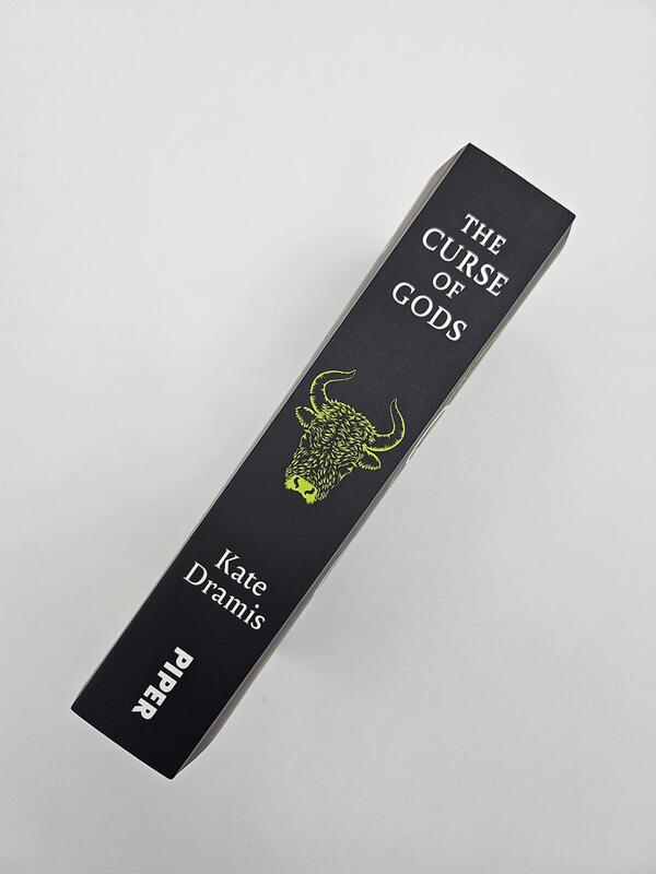 Außenansicht des Buches „The Curse of Gods“