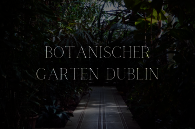 Botanischer Garten Dublin