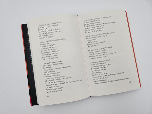 Außenansicht des Buches „Einen Vulkan besteigen“