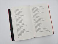Außenansicht des Buches „Einen Vulkan besteigen“