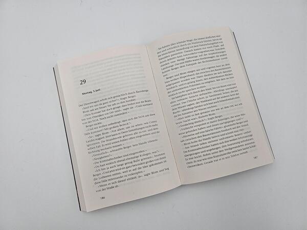 Innenansicht des Buches „Null gleich eins“