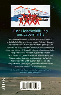 Rückansicht des Buches „Polarschimmer“