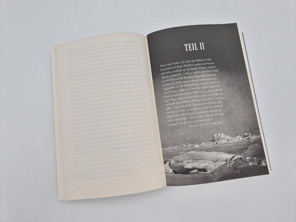 Außenansicht des Buches „Irrenhaus am Ende der Welt“