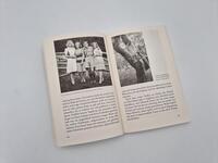 Außenansicht des Buches „Ingeborg Bachmann, meine Schwester“