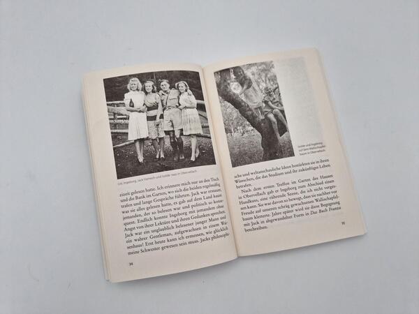 Außenansicht des Buches „Ingeborg Bachmann, meine Schwester“
