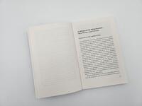 Außenansicht des Buches „Die Palast-Rebellin“