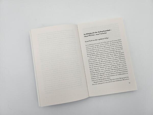 Außenansicht des Buches „Die Palast-Rebellin“